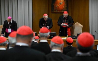 Los cardenales llaman a construir, sin demora, una paz justa y duradera